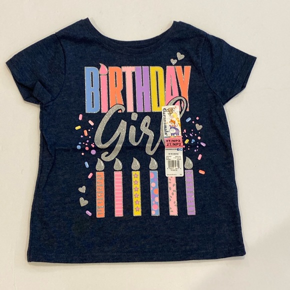 Garanimals Other - 4/$20 Girls Sparkly Birthday t-shirt 3T xox